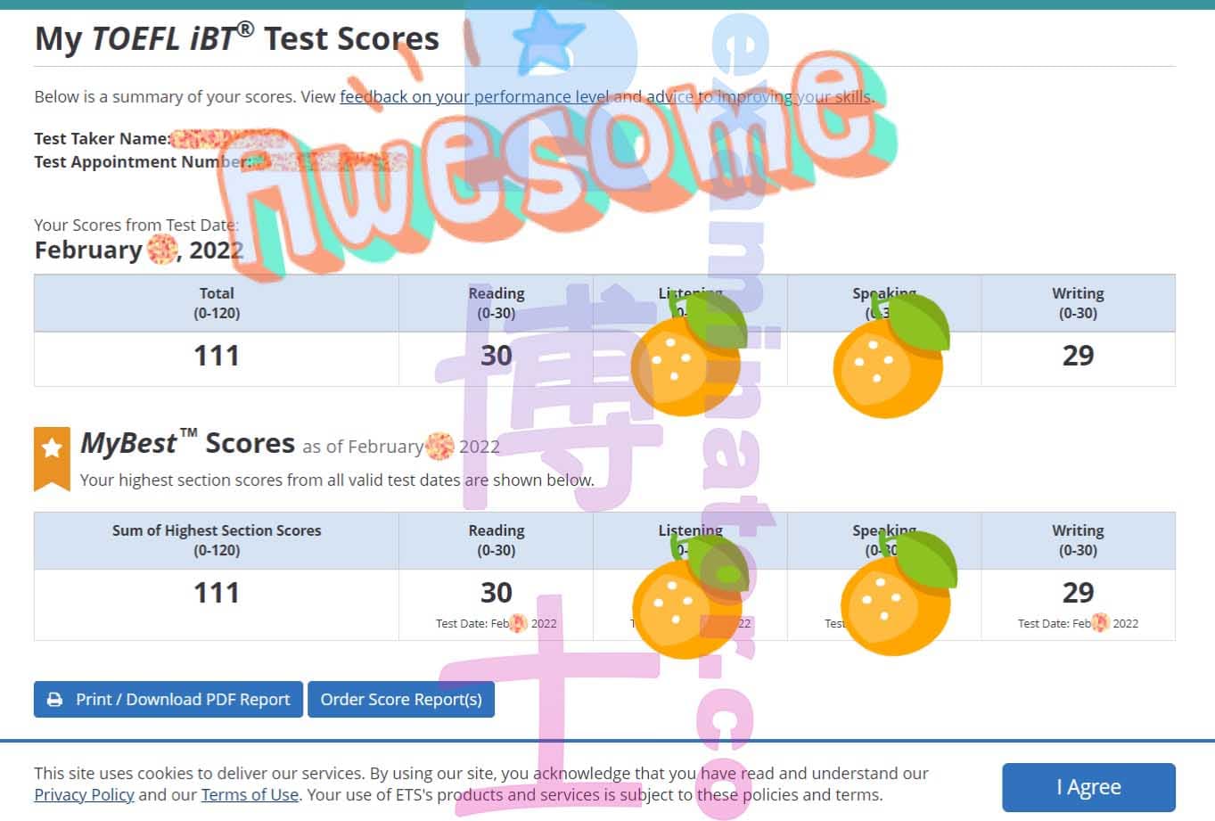 immagine del punteggio per Truffa nel TOEFL storia di successo #273